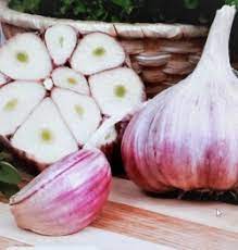 Cesnak JESE Germidour nepal.fial. 3hl