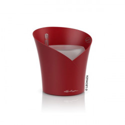 Kvetin Lechuza Orchidea all-in-one set viac farieb