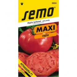 Pithagora F1 rajiak kolkov beafsteak 10sem.