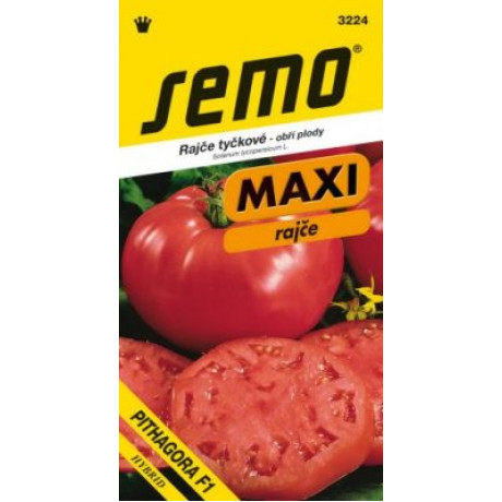 Pithagora F1 rajčiak kolíkový beafsteak 10sem.